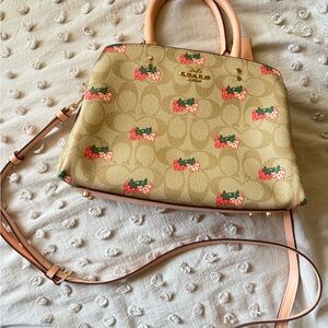Coach 2022 Strawberry Collection Mini Lillie Shoulder Bag